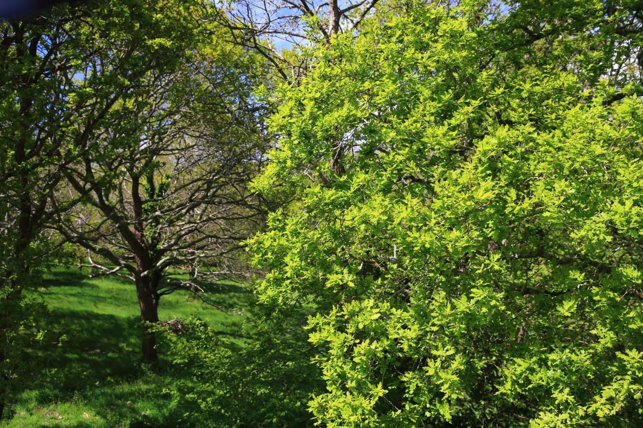 Aux Arbres Chanteurs Ploulech Ngoại thất bức ảnh