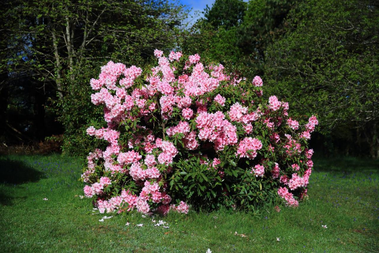 Aux Arbres Chanteurs Ploulech Ngoại thất bức ảnh