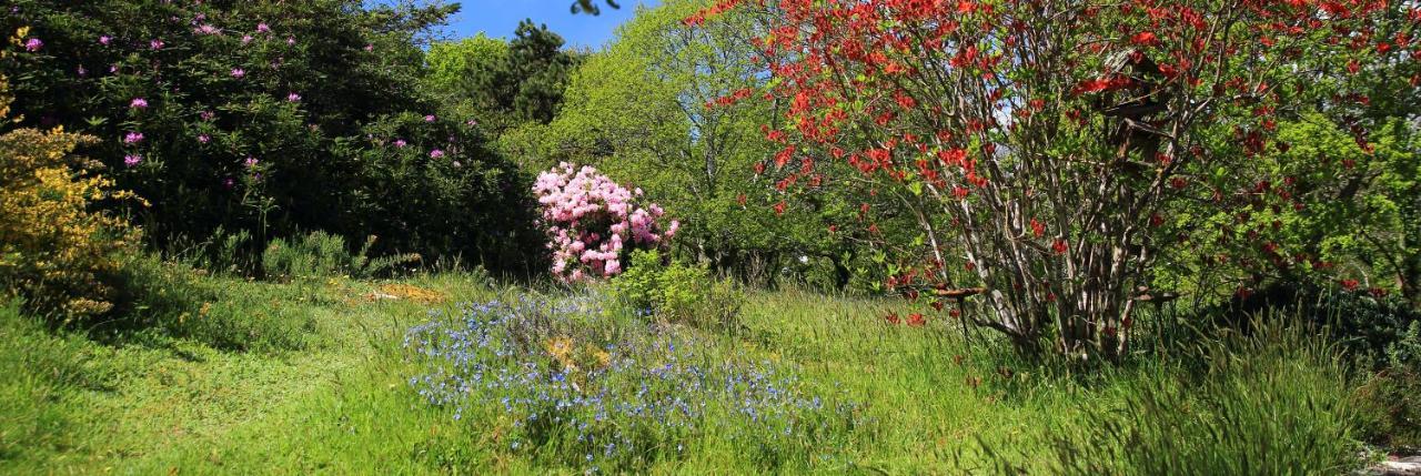 Aux Arbres Chanteurs Ploulech Ngoại thất bức ảnh